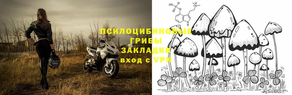 альфа пвп Верхнеуральск