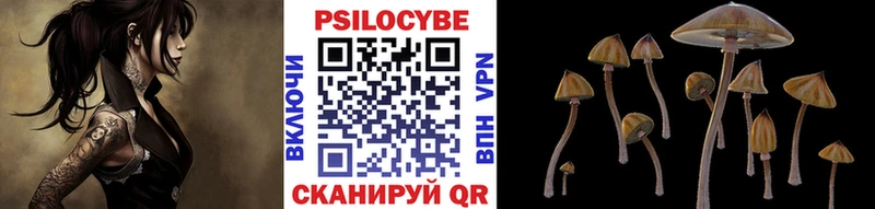 ОМГ ОМГ   Бузулук  это официальный сайт  Галлюциногенные грибы Magic Shrooms 